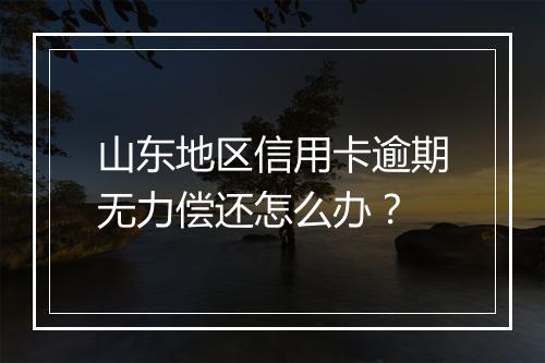 山东地区信用卡逾期无力偿还怎么办？