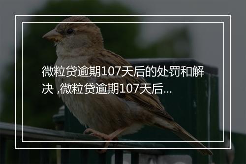 微粒贷逾期107天后的处罚和解决 ,微粒贷逾期107天后的后果和风险