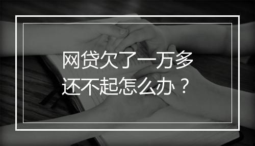 网贷欠了一万多还不起怎么办？