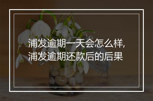 浦发逾期一天会怎么样,浦发逾期还款后的后果