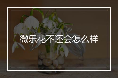 微乐花不还会怎么样