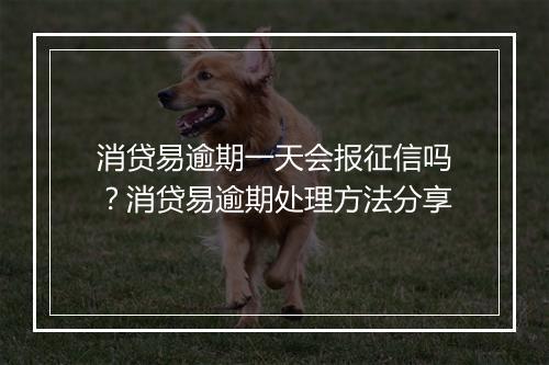 消贷易逾期一天会报征信吗？消贷易逾期处理方法分享