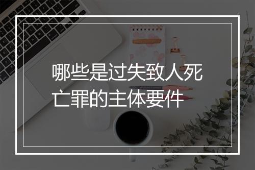 哪些是过失致人死亡罪的主体要件