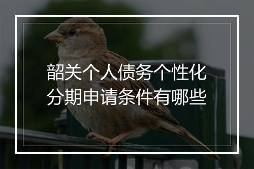 韶关个人债务个性化分期申请条件有哪些