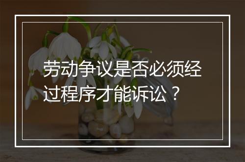 劳动争议是否必须经过程序才能诉讼？