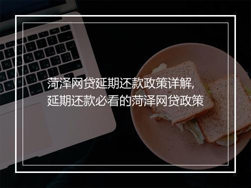 菏泽网贷延期还款政策详解,延期还款必看的菏泽网贷政策