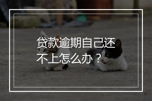贷款逾期自己还不上怎么办？