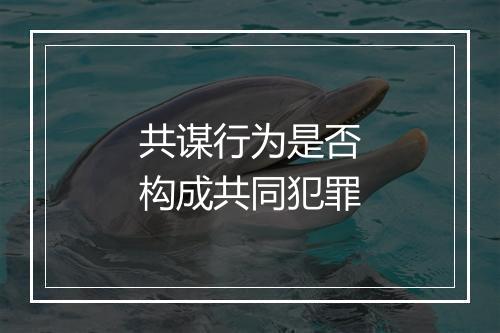 共谋行为是否构成共同犯罪