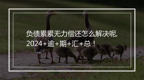 负债累累无力偿还怎么解决呢,2024+逾+期+汇+总！