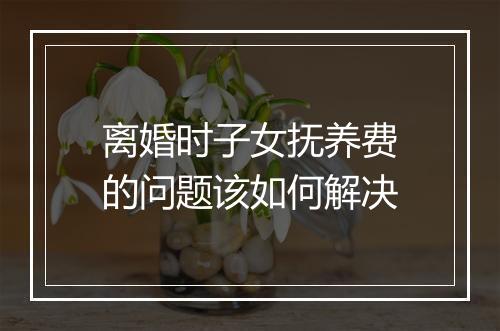 离婚时子女抚养费的问题该如何解决