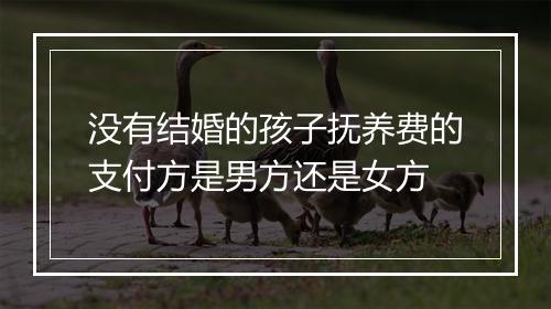 没有结婚的孩子抚养费的支付方是男方还是女方
