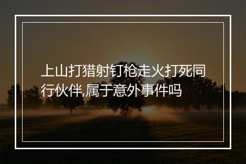 上山打猎射钉枪走火打死同行伙伴,属于意外事件吗