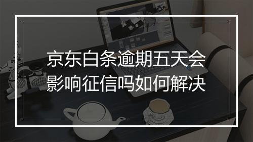 京东白条逾期五天会影响征信吗如何解决