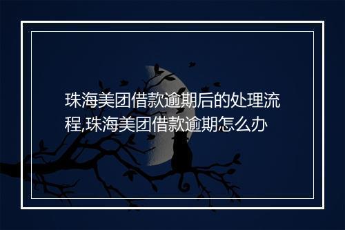 珠海美团借款逾期后的处理流程,珠海美团借款逾期怎么办