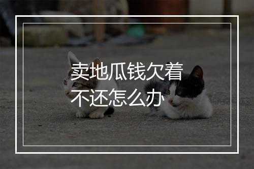 卖地瓜钱欠着不还怎么办