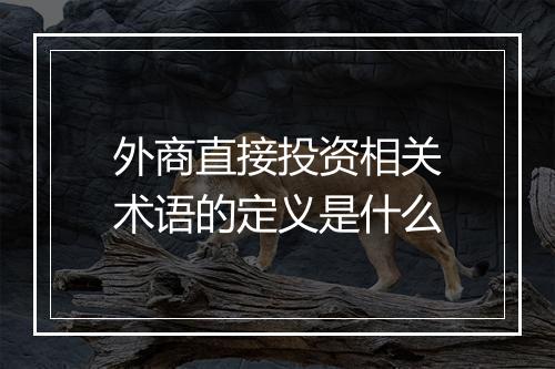 外商直接投资相关术语的定义是什么