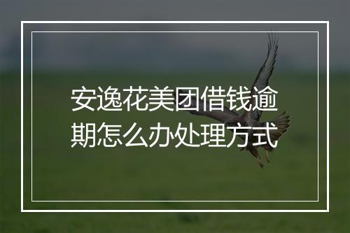 安逸花美团借钱逾期怎么办处理方式