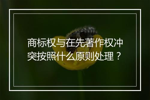 商标权与在先著作权冲突按照什么原则处理？