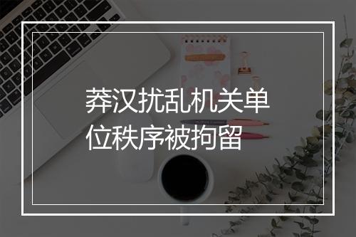 莽汉扰乱机关单位秩序被拘留