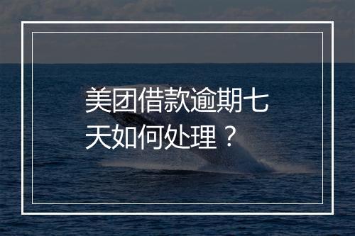 美团借款逾期七天如何处理？