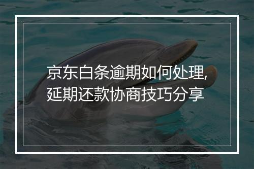 京东白条逾期如何处理,延期还款协商技巧分享