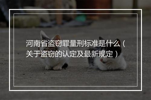 河南省盗窃罪量刑标准是什么（关于盗窃的认定及最新规定）