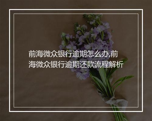 前海微众银行逾期怎么办,前海微众银行逾期还款流程解析
