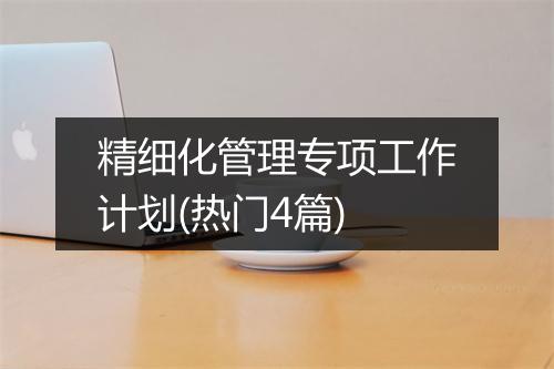 精细化管理专项工作计划(热门4篇)