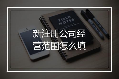 新注册公司经营范围怎么填