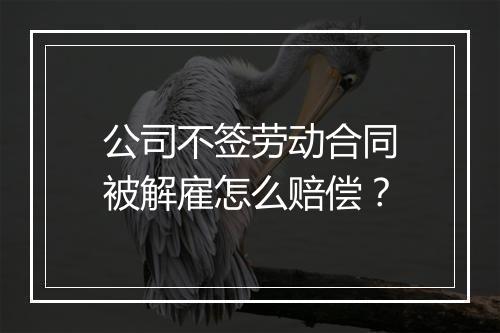 公司不签劳动合同被解雇怎么赔偿？