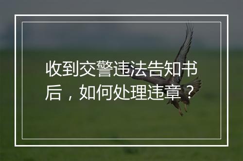 收到交警违法告知书后，如何处理违章？
