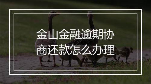 金山金融逾期协商还款怎么办理