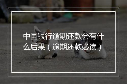 中国银行逾期还款会有什么后果（逾期还款必读）