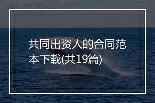 共同出资人的合同范本下载(共19篇)