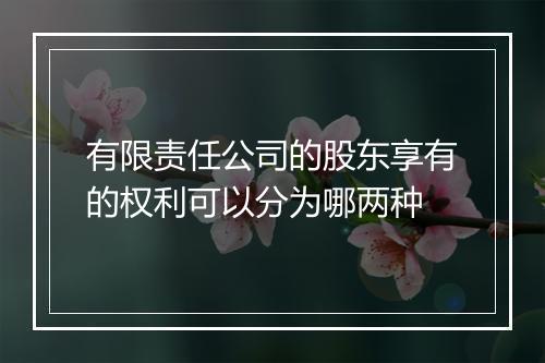 有限责任公司的股东享有的权利可以分为哪两种