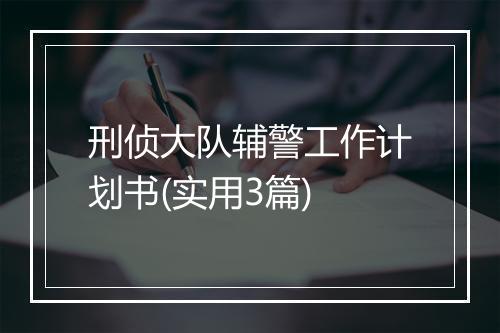 刑侦大队辅警工作计划书(实用3篇)
