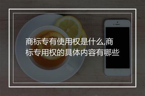 商标专有使用权是什么,商标专用权的具体内容有哪些
