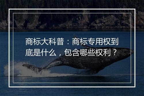 商标大科普：商标专用权到底是什么，包含哪些权利？