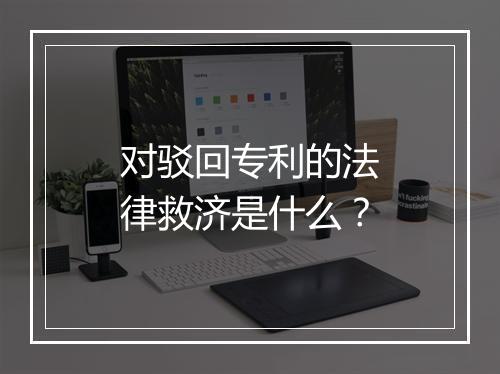 对驳回专利的法律救济是什么？