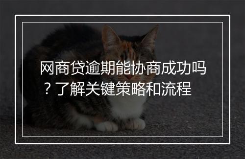 网商贷逾期能协商成功吗？了解关键策略和流程