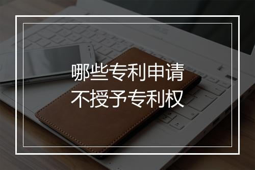 哪些专利申请不授予专利权