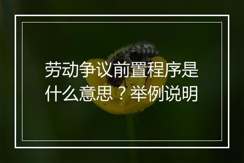 劳动争议前置程序是什么意思？举例说明