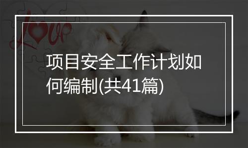 项目安全工作计划如何编制(共41篇)