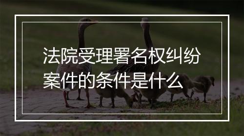 法院受理署名权纠纷案件的条件是什么