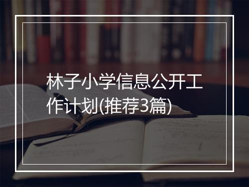林子小学信息公开工作计划(推荐3篇)