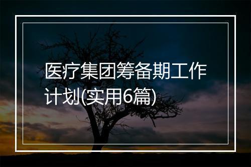 医疗集团筹备期工作计划(实用6篇)