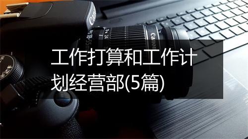 工作打算和工作计划经营部(5篇)