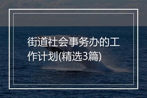 街道社会事务办的工作计划(精选3篇)