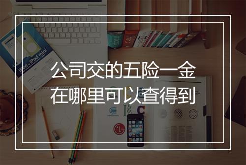 公司交的五险一金在哪里可以查得到