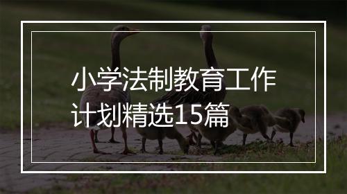 小学法制教育工作计划精选15篇